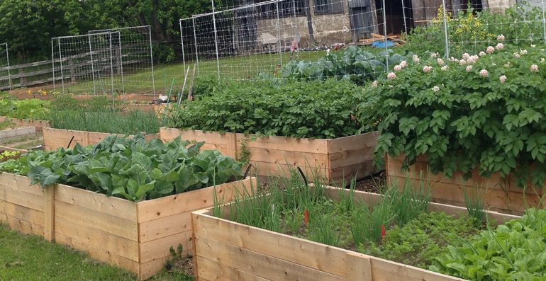 Q & A With The Naked Farmer