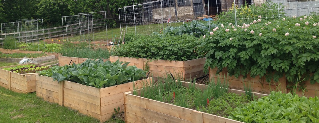 Delicious flavorings